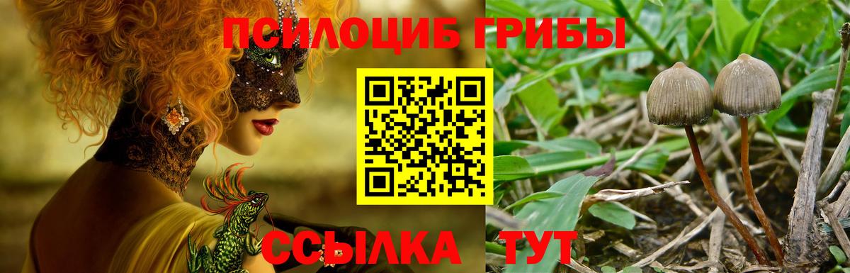 Камышлов  Галлюциногенные грибы MAGIC MUSHROOMS  Вход с VPN 